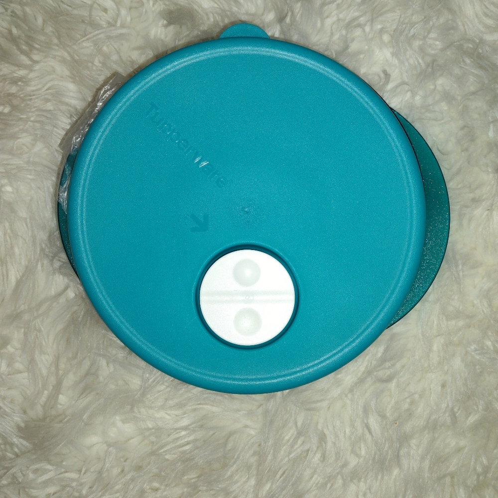 Tupperware Crystal Turquoise Food Storage.